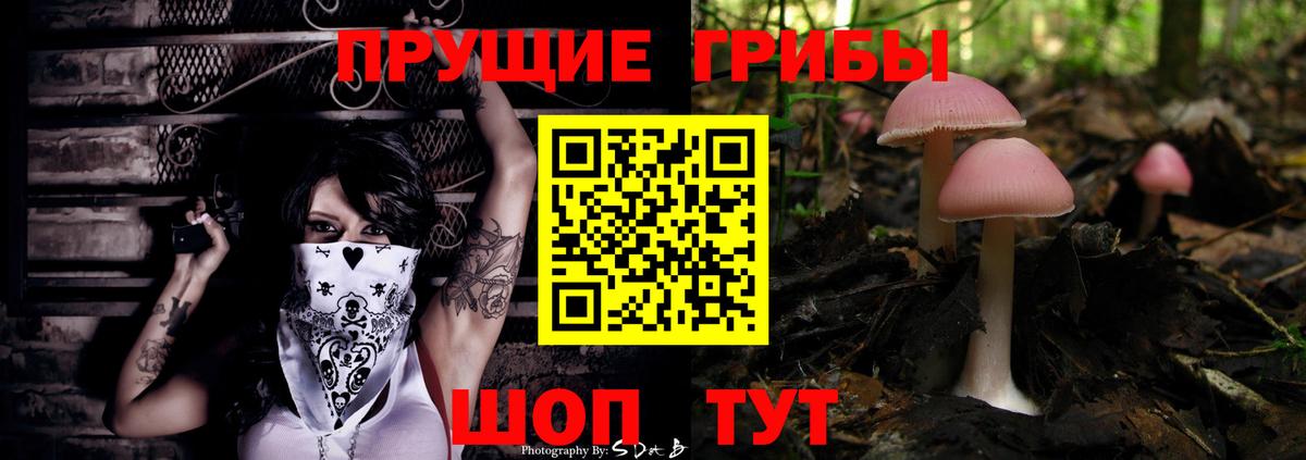 Псилоцибиновые грибы мухоморы Полысаево