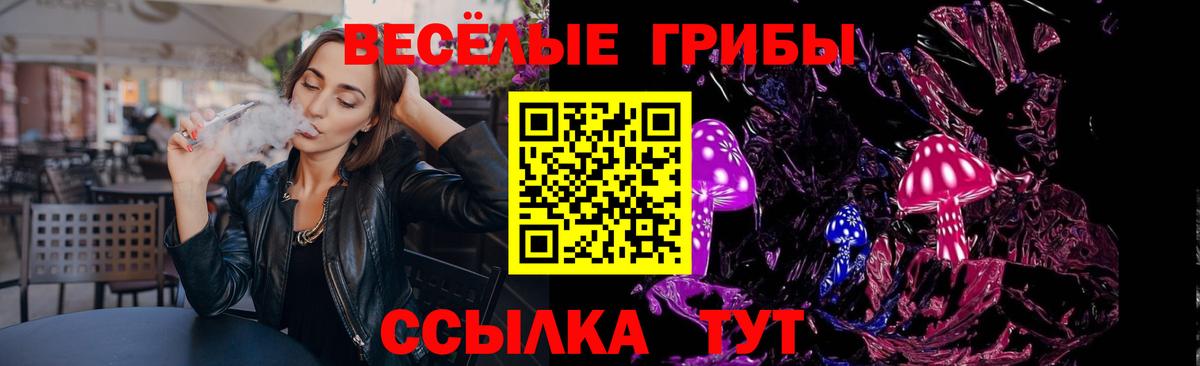 Галлюциногенные грибы GOLDEN TEACHER  Псилоцибиновые грибы Psilocybe  Вход с VPN  Полысаево 